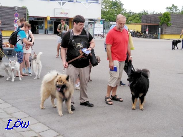 15.6.2019 - Unterwegs zur EuroDog